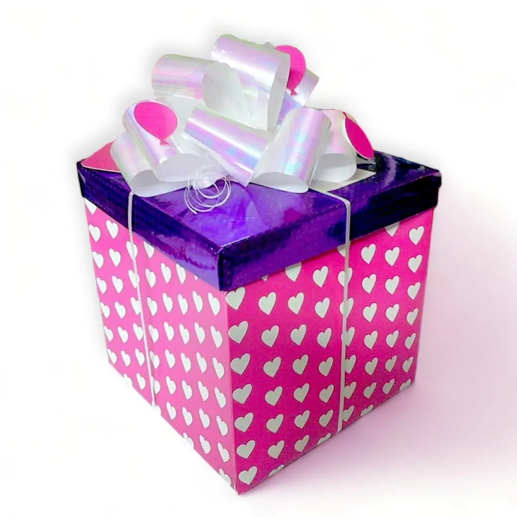 Caja Dos Piezas 21x21x21 cm 3