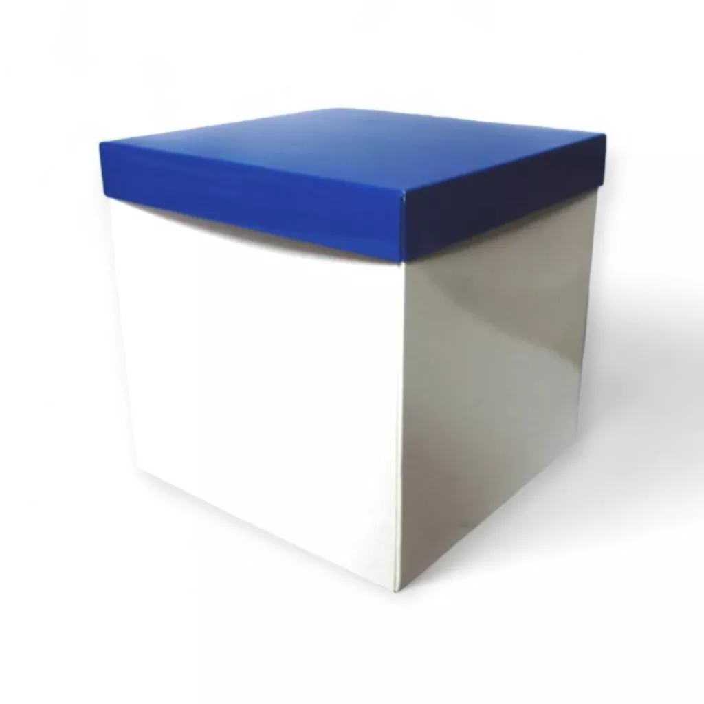 Caja Dos Piezas 21x21x21 cm 6