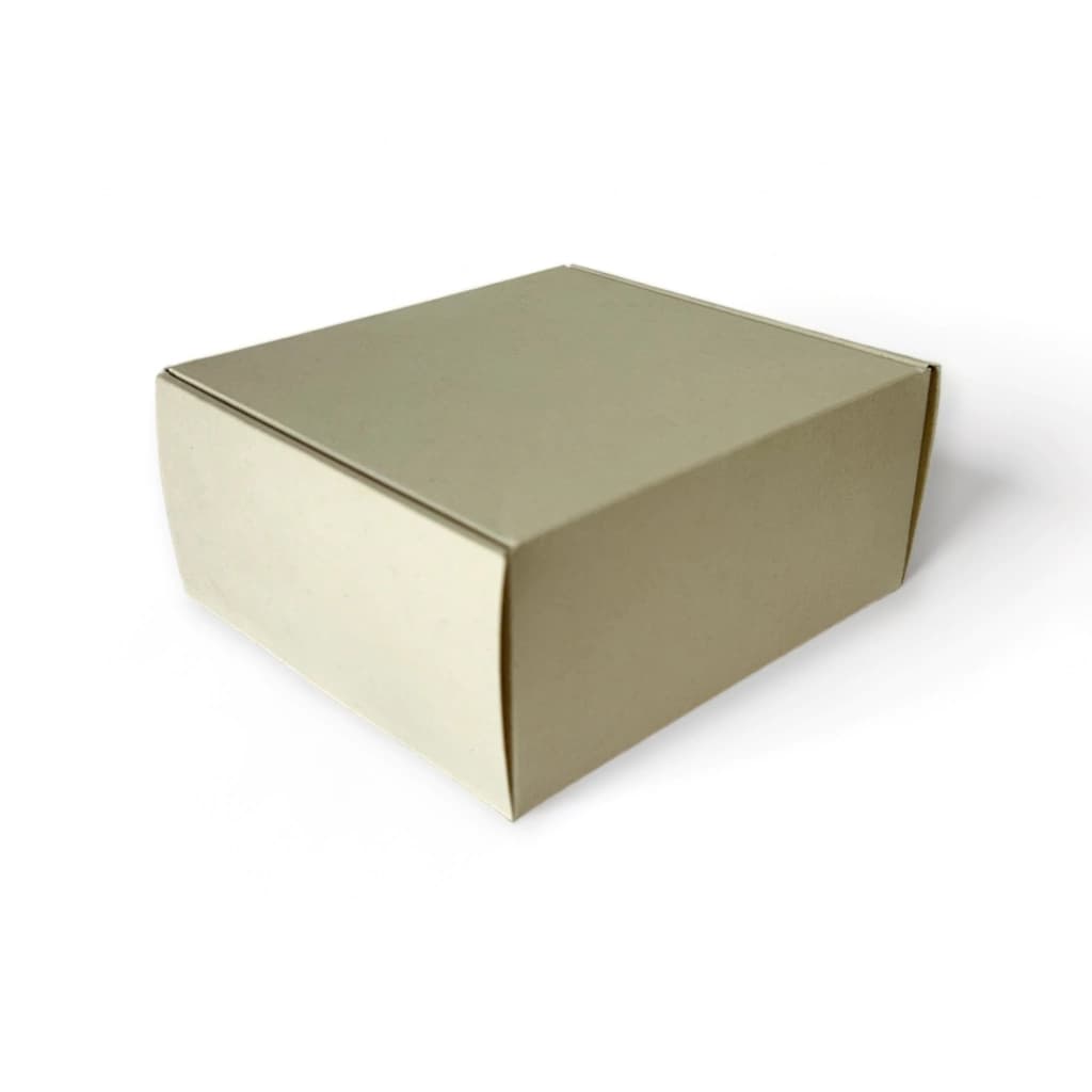 Caja Tipo Maletín 16x18x8 cm 2