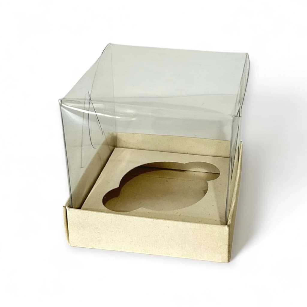 Caja Acetato 10x10x10 cm