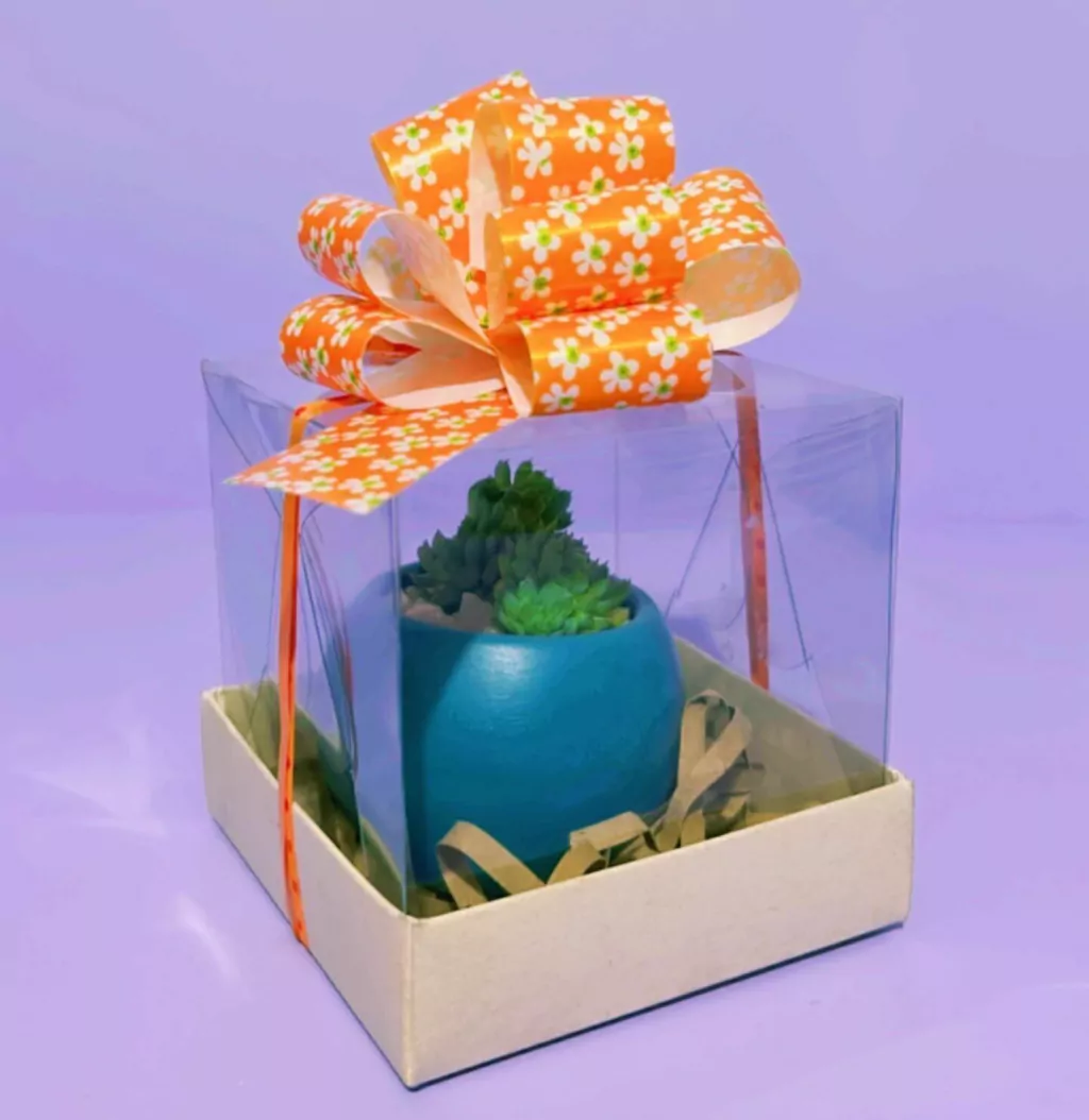 Caja Acetato 10x10x10 cm 5