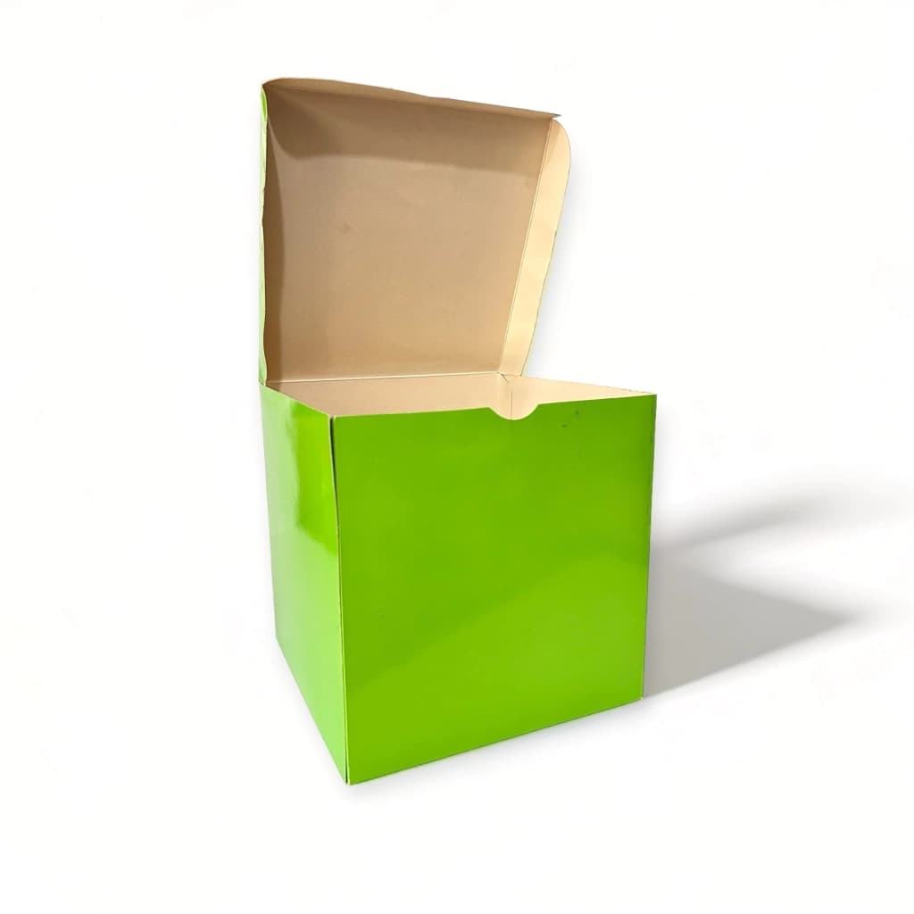 Caja Una Pieza 20x20x20 cm