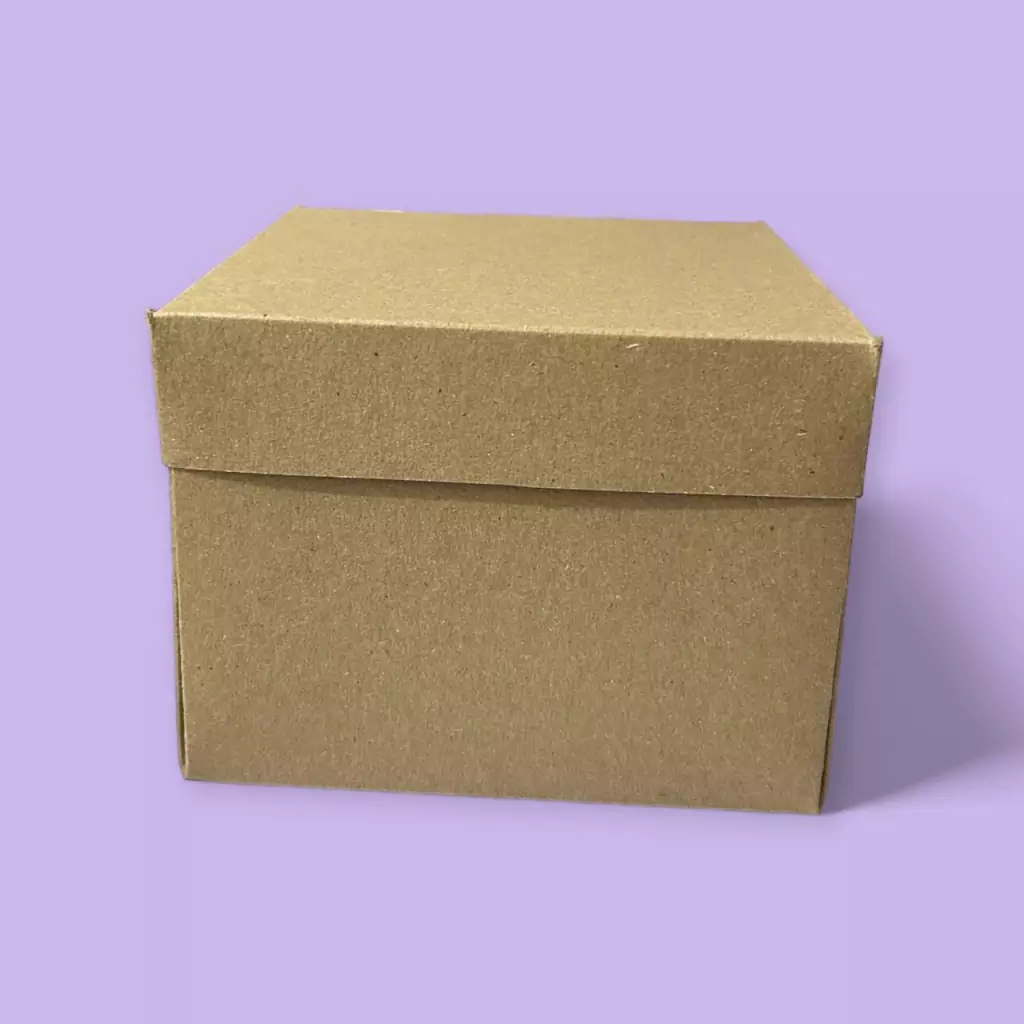 Caja Lunch 13x13x10 cm 2