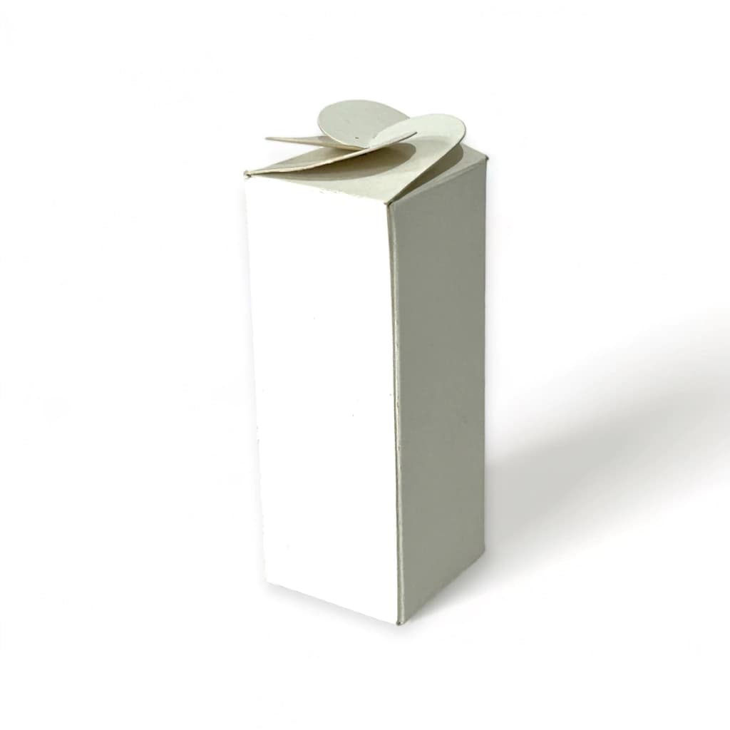 Caja Rectangular Tonico 2